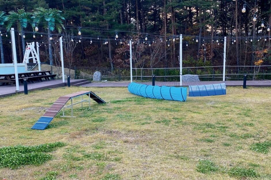 더앤리조트 (9)