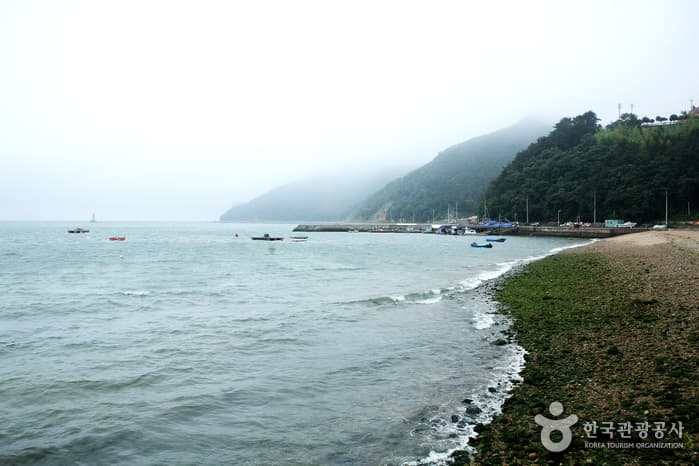 수륙해수욕장_05
