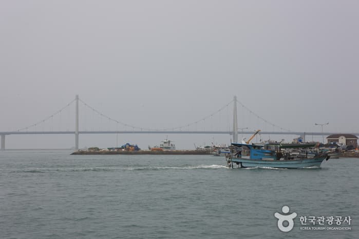 녹동항_20
