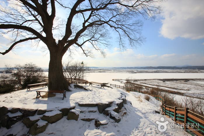 충청남도_논산시_옥녀봉_031