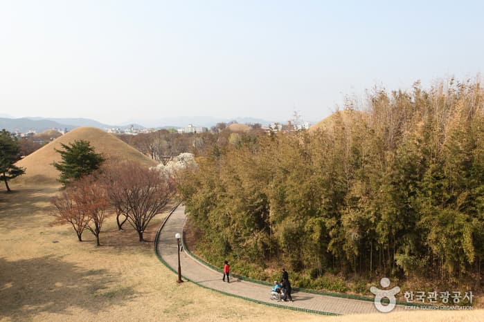 왕에게 가다