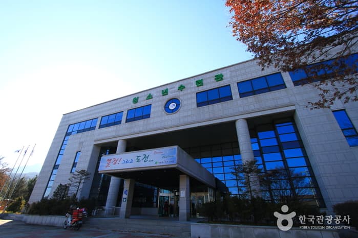 의정부시 청소년수련관