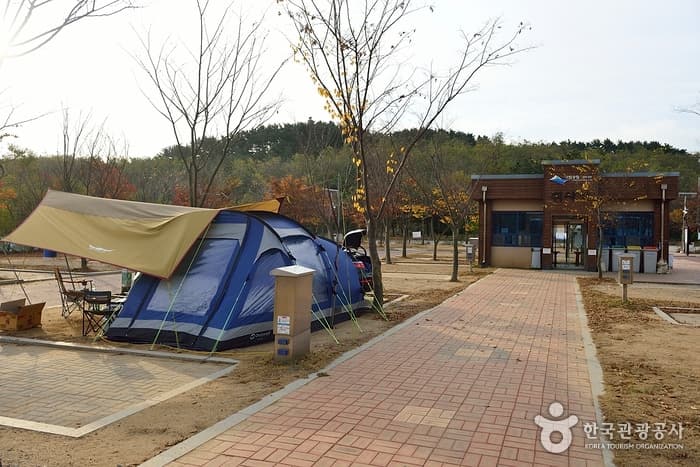 충남_태안_학암포 오토캠핑장01