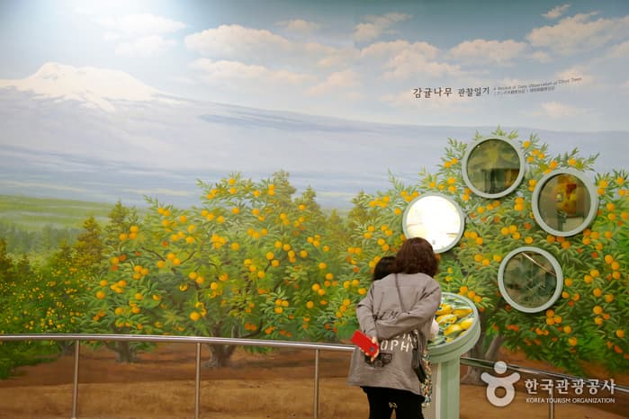 제주_감귤박물관03