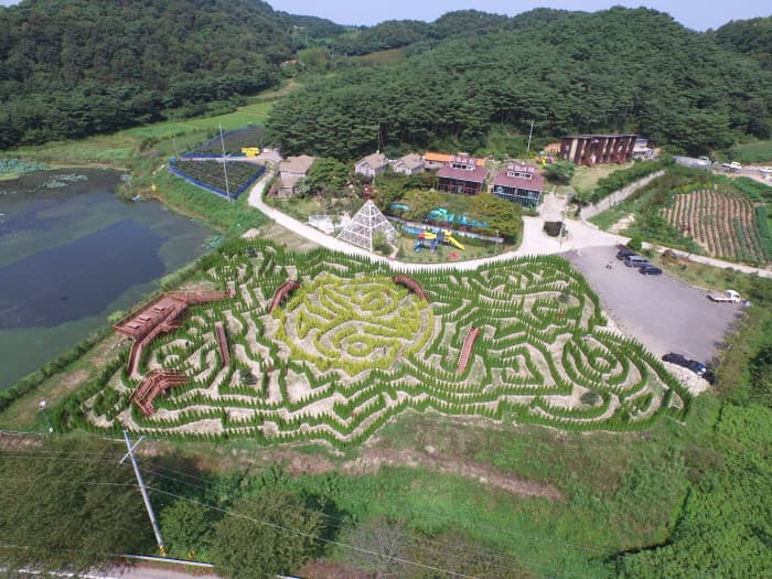 바람아래관광농원_외관5