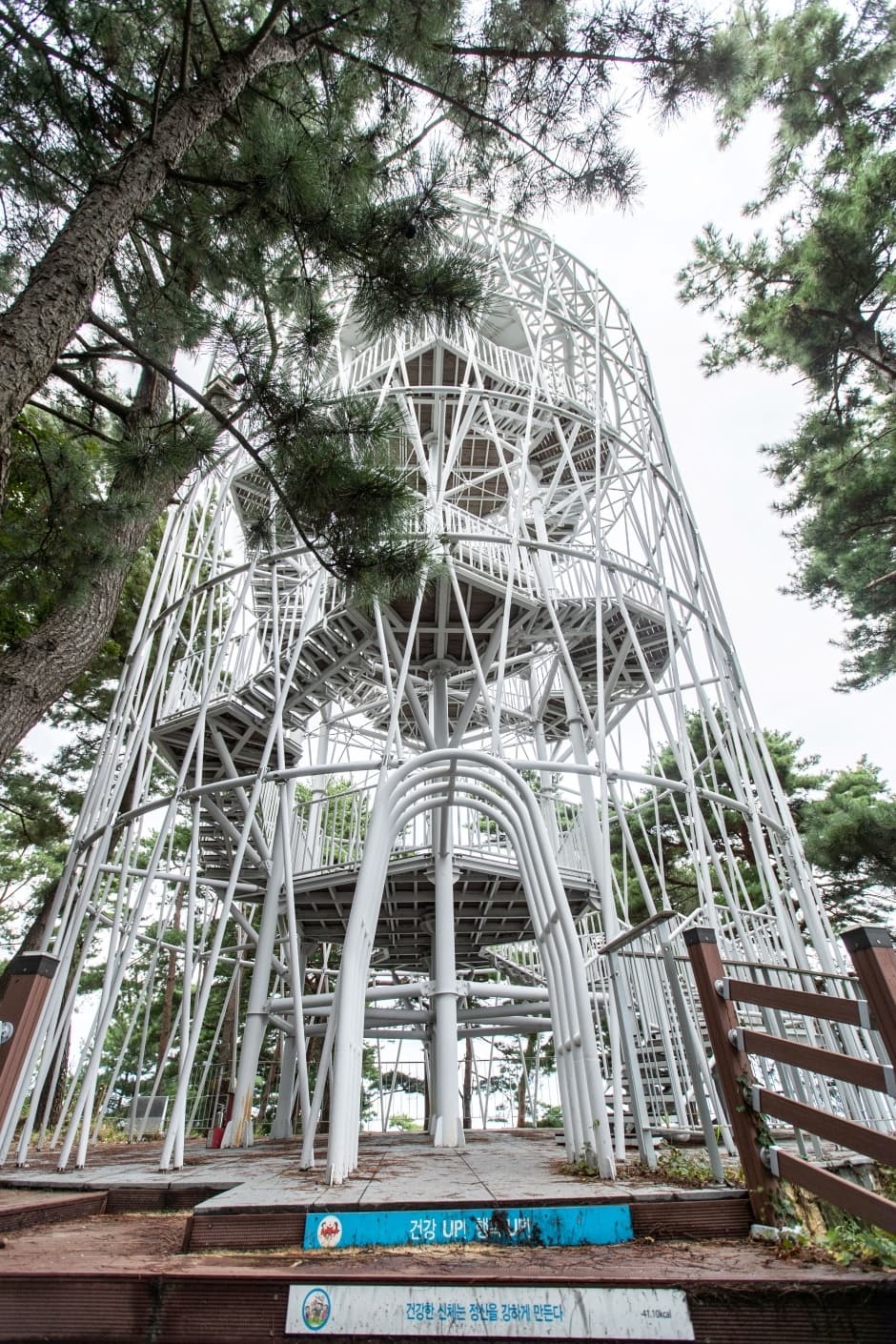 죽도정_7
