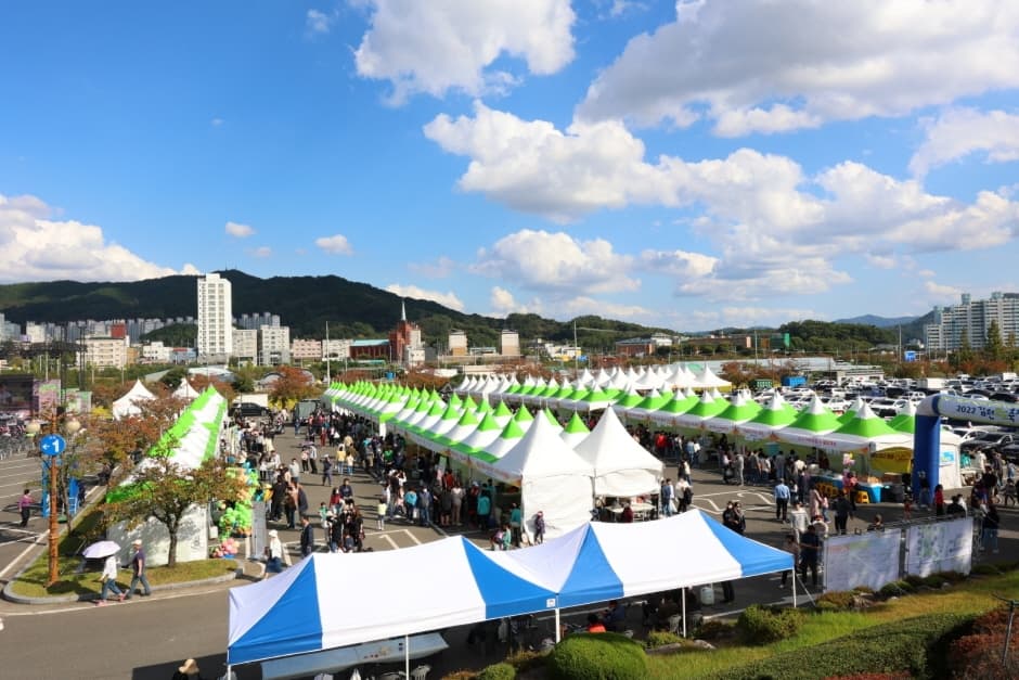 김천포도축제
