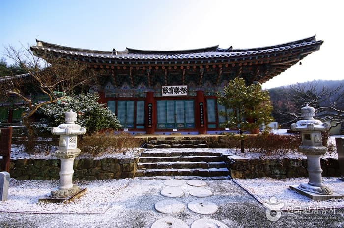 세종시_여행지 세곳 9 (비암사 극락보전)
