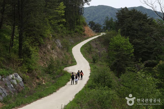 전북_남원_지리산둘레길_인월~금계67