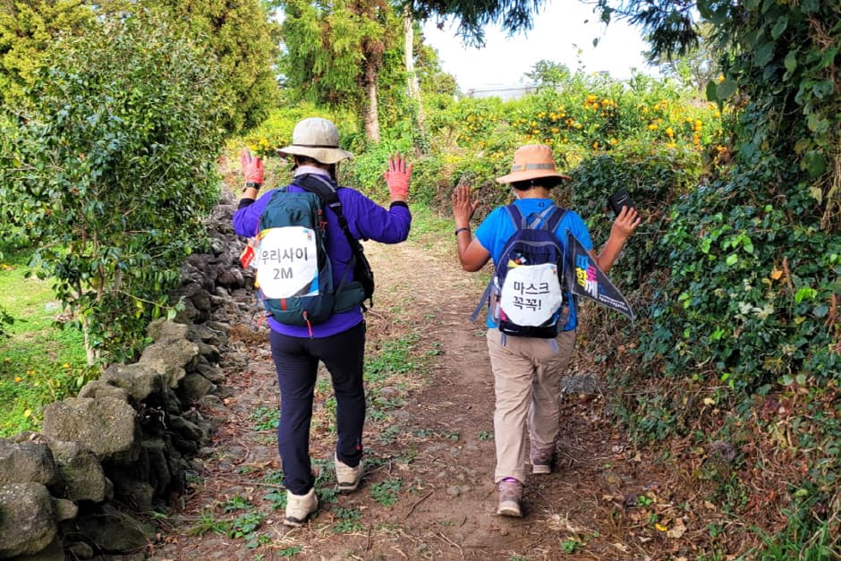 2021 제주올레걷기축제 (2021 Jeju Olle Walking Festival)(8)