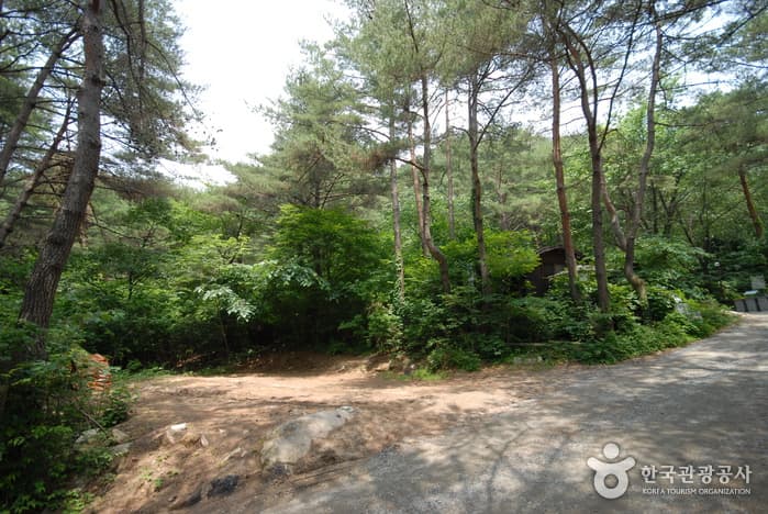 조령산자연휴양림_03