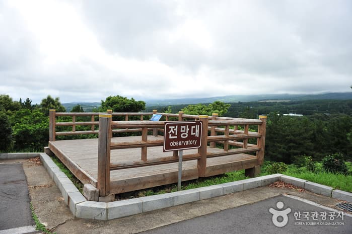엉또폭포