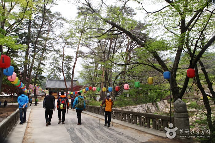 충북_보은_속리산법주사10