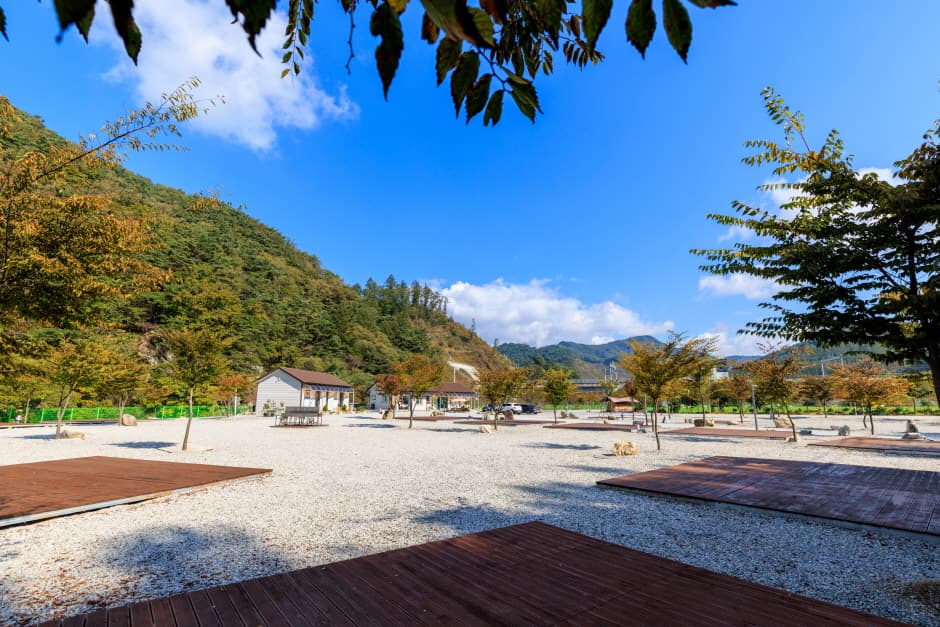 백운일출캠핑장