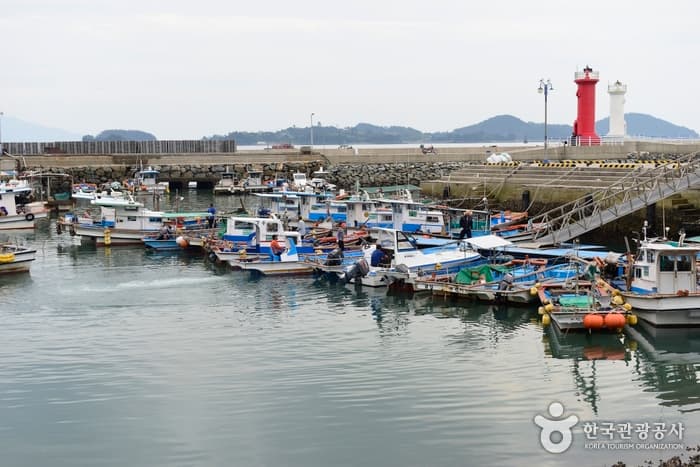 뗏목 타고 피라미 잡으며 더위사냥