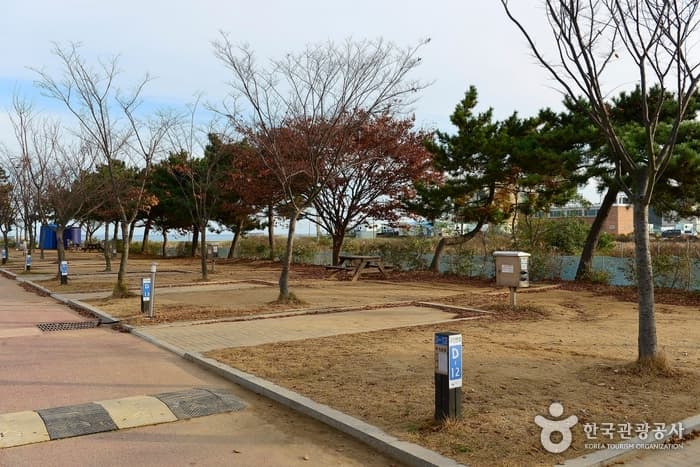 충남_태안_학암포 오토캠핑장04