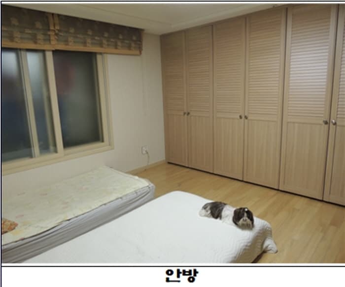 헬레나 홈스테이