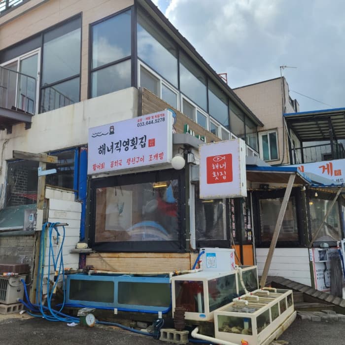 海女直营鱼脍店 ( 해녀직영횟집 )