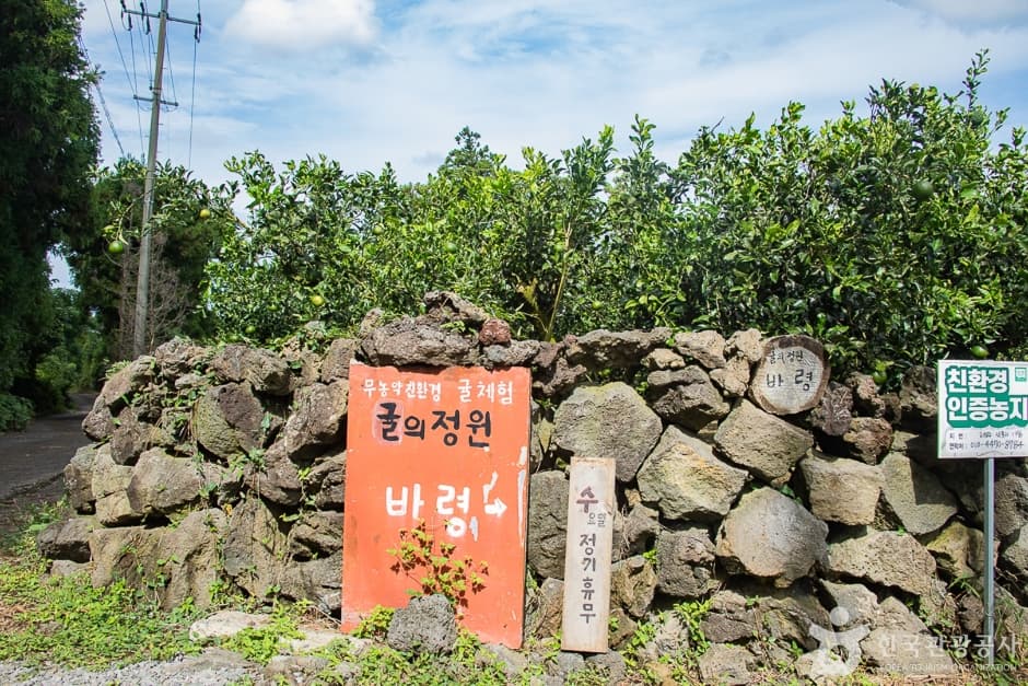귤의정원 바령