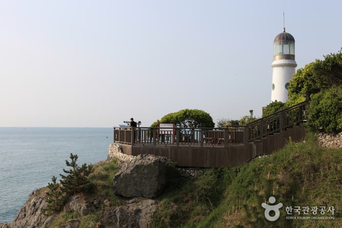 Dongbaek Island