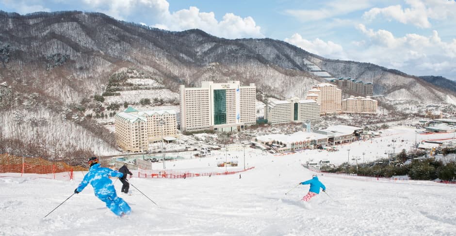 Vivaldi Park Ski World (비발디 파크 스키월드)