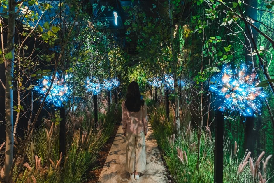Discovery Nature Scape 东滩店(디스커버리 네이처스케이프 동탄점)