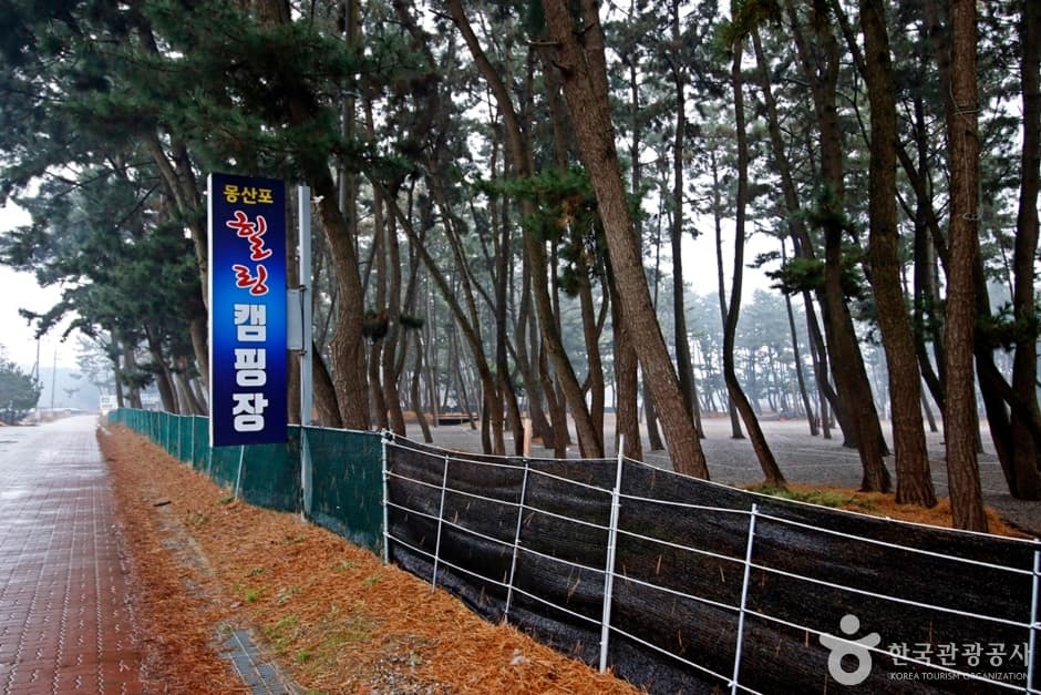 몽산포힐링캠핑장