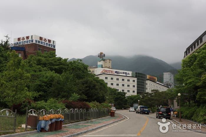 백암온천지구_04