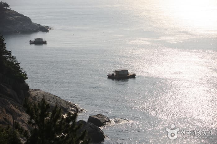 장승포 신년해맞이 행사