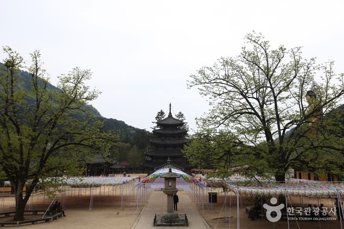 충북_보은_속리산법주사24