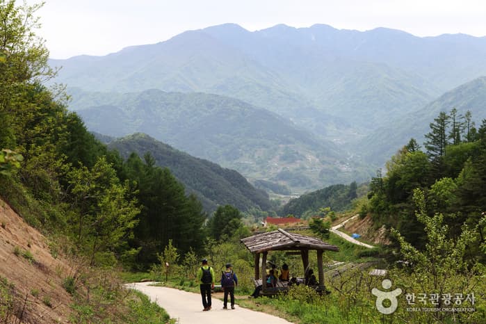 전북_남원_지리산둘레길_인월~금계71