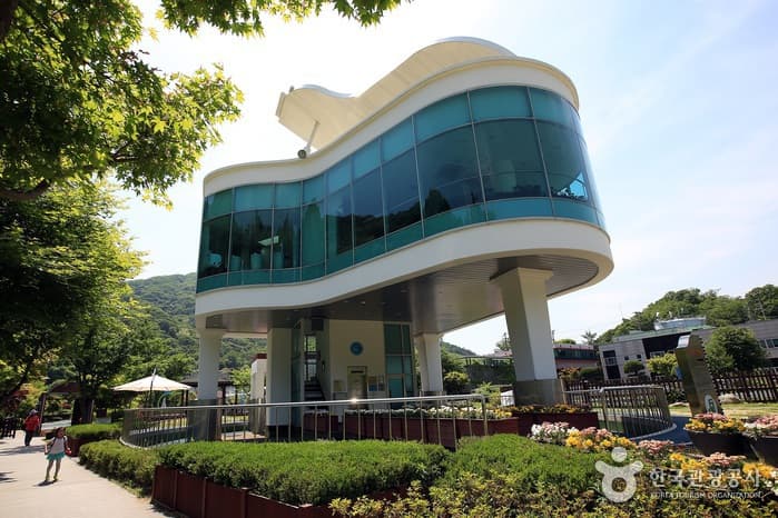 경기_남양주_쪽동백 융단 밟고 족도리풀 눈 맞추는 꽃길, 남양주 천마산42