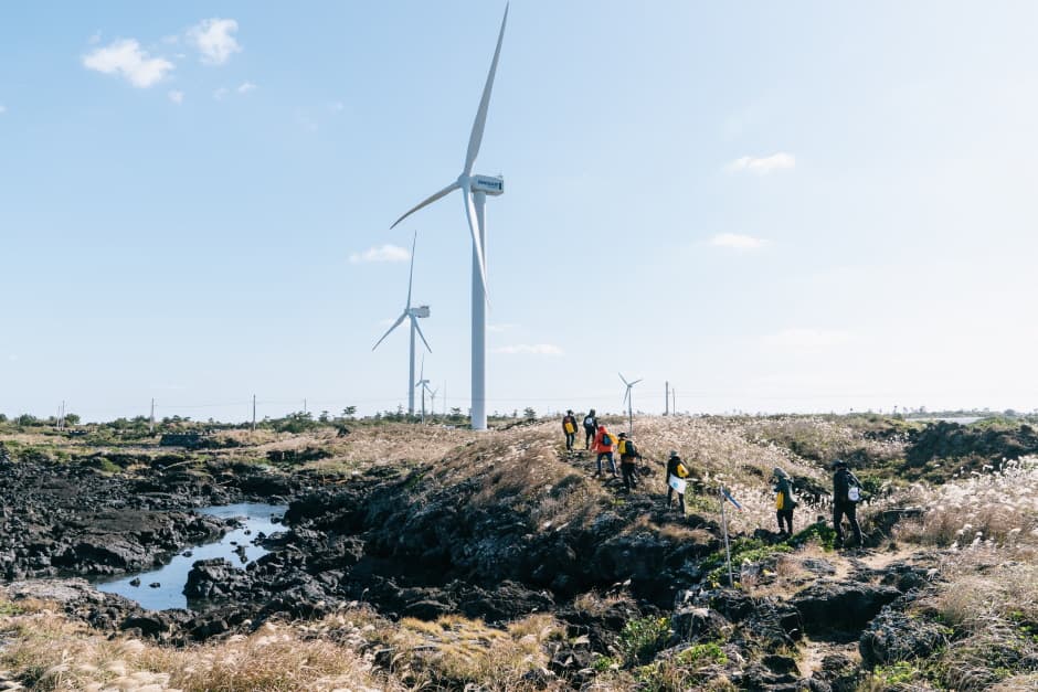 2021 제주올레걷기축제 (2021 Jeju Olle Walking Festival)(3)
