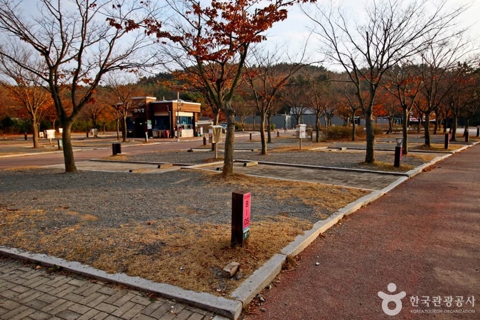 학암포 오토캠핑장 (5)