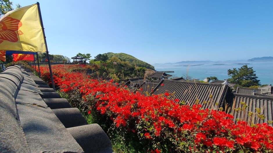 완도청해포구촬영장 (9)