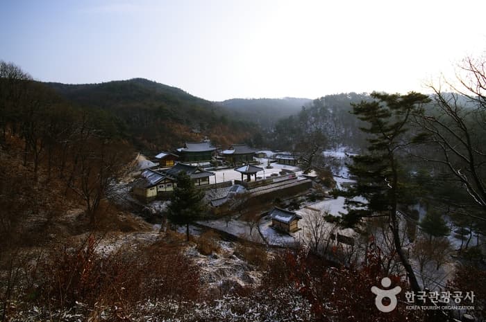 세종시_여행지 세곳 7 (비암사)