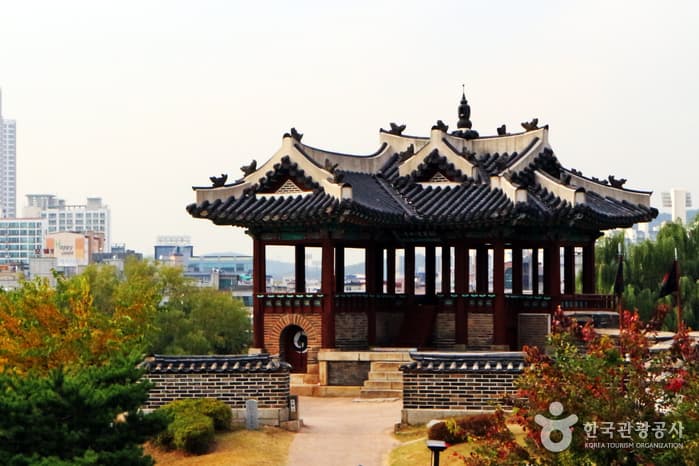 경기_수원_늦가을 수원화성 야경 출사는 여기!08