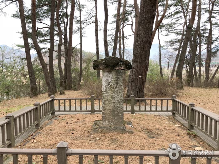 강원_영월_청령포13