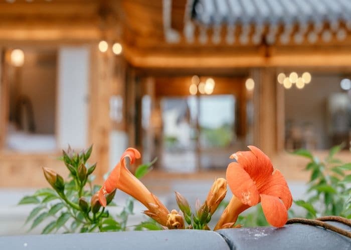Hanok Stay Sohwa [Korea Quality]한옥스테이 소화[한국관광 품질인증]