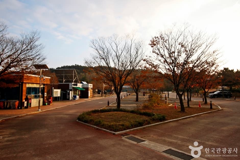 학암포 오토캠핑장 (10)
