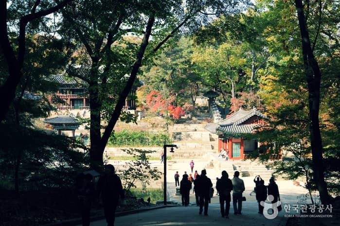 Changdeokgung Palace