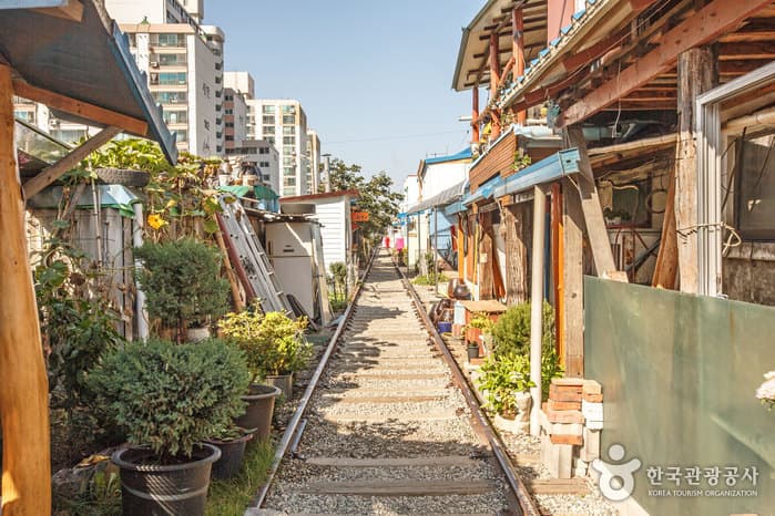 시간을 건너 군산에 빠지다