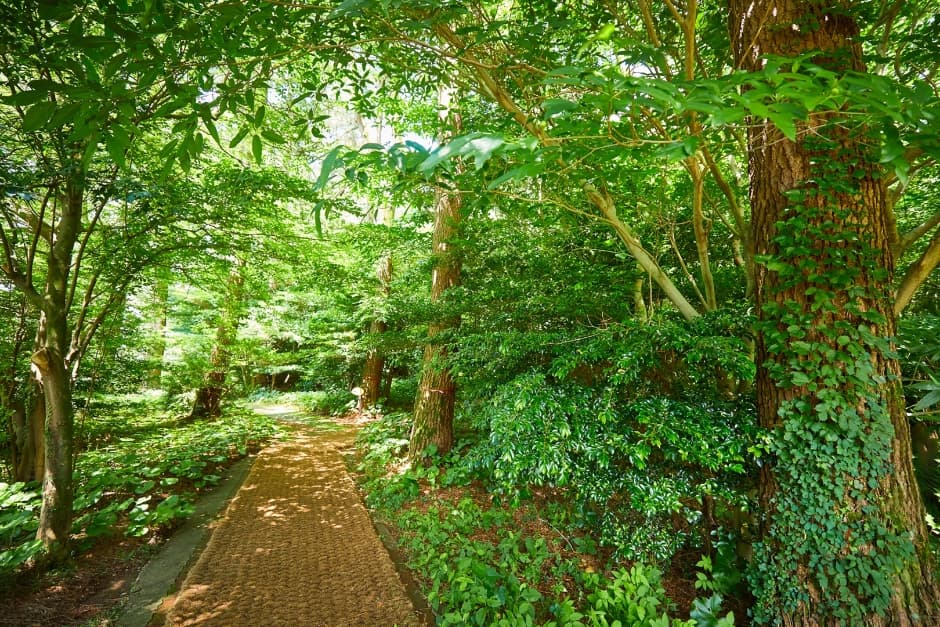 Gwonje岳(권제오름)