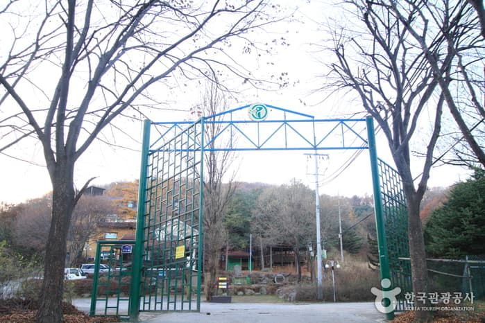 경기_양주_딱따구리청소년수련원05