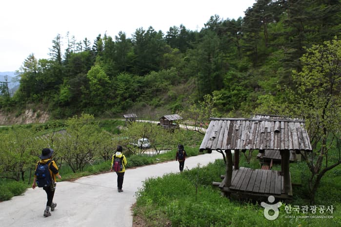 전북_남원_지리산둘레길_인월~금계74