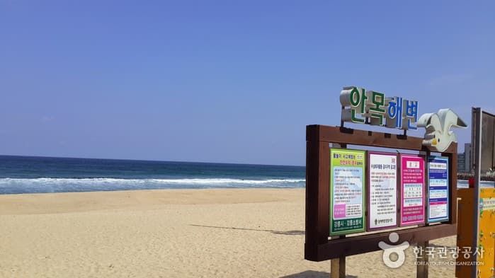 강원_강릉_안목해변01
