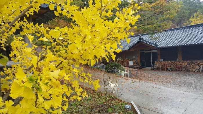 산속의친구_외부2