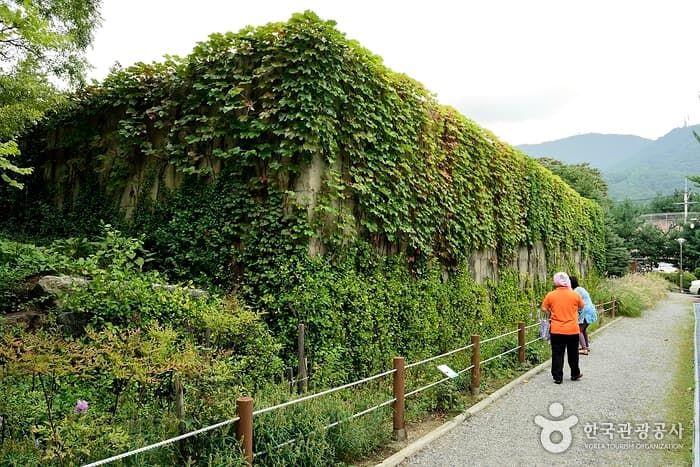 경기_성남_은행자연관찰원03
