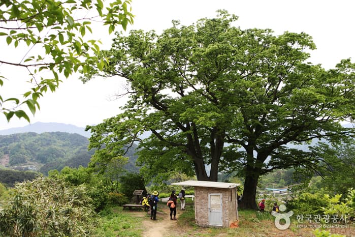 전북_남원_지리산둘레길_인월~금계75