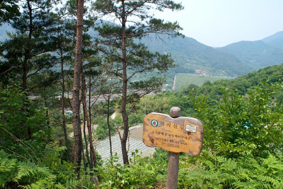 지리산둘레길 13코스 하동읍~서당